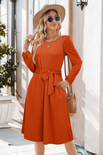 Womens Long Sleeve Casual Dresses 2025 Business Work Teacher Fall Church Belted A Line Flowy Midi Dress