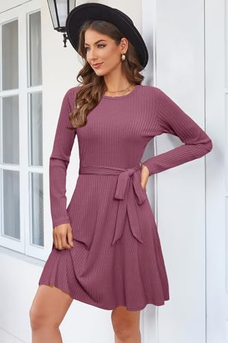 Women's Long Sleeve Fall Teacher Dresses 2025 Work Casual Knit Pockets Winter Sweater Dress Trendy
