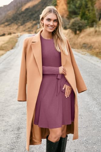 Women's Long Sleeve Fall Teacher Dresses 2025 Work Casual Knit Pockets Winter Sweater Dress Trendy