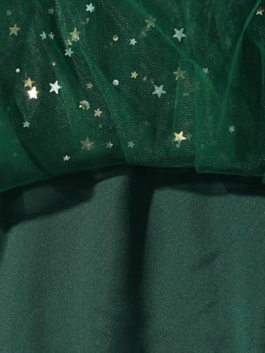 Girl's V Neck Ruffle Sleeve A Line Dress High Waist Mesh Tulle Dress
