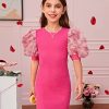 Girl's Ribbed Mesh Short Puff Sleeve Cute Birthday Party Pencil Mini Dress