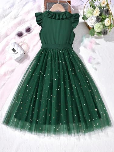 Girl's V Neck Ruffle Sleeve A Line Dress High Waist Mesh Tulle Dress