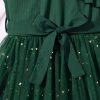 Girl's V Neck Ruffle Sleeve A Line Dress High Waist Mesh Tulle Dress
