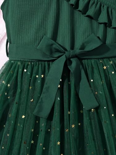 Girl's V Neck Ruffle Sleeve A Line Dress High Waist Mesh Tulle Dress